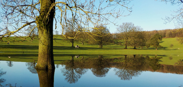 reflection eshton 3